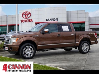 2012 Ford F-150 for sale in Moss Point MS