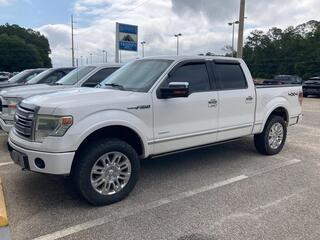 2013 Ford F-150 for sale in Dothan AL