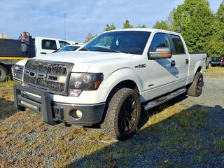 2013 Ford F-150 for sale in Fort Mill SC