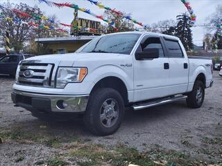 2011 Ford F-150 for sale in Plymouth MI