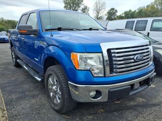 2011 Ford F-150 for sale in Freeport IL