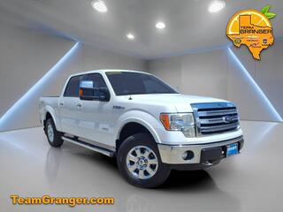2013 Ford F-150 for sale in Orange TX