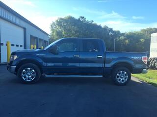 2014 Ford F-150 for sale in Fredonia NY