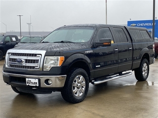 2014 Ford F-150 for sale in Centralia MO