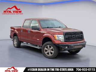 2014 Ford F-150 for sale in Ringold GA