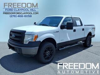 2014 Ford F-150 for sale in Pounding Mill VA