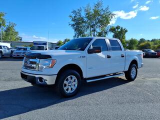 2013 Ford F-150 for sale in Johnson City TN
