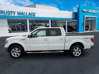 2013 Ford F-150 for sale in Dandridge TN