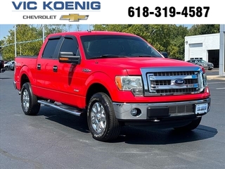 2013 Ford F-150 for sale in Carbondale IL