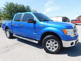 2014 Ford F-150 for sale in Clarksville TN