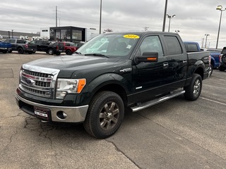 2014 Ford F-150 for sale in Janesville WI