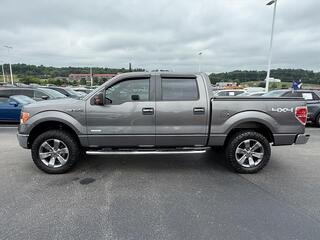 2014 Ford F-150 for sale in Dandridge TN
