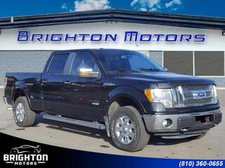 2011 Ford F-150 for sale in Brighton MI