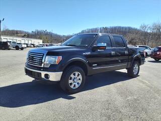 2011 Ford F-150 for sale in Johnson City TN