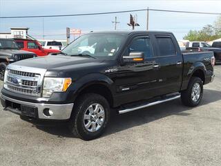 2013 Ford F-150 for sale in Joliet IL