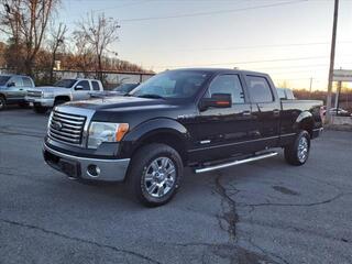 2011 Ford F-150 for sale in Johnson City TN