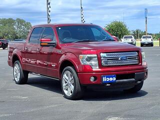 2013 Ford F-150 for sale in Burnet TX