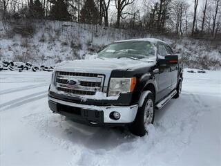 2014 Ford F-150 for sale in Mount Hope WV