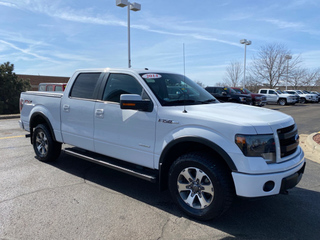 2014 Ford F-150 for sale in Janesville WI