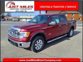 2014 Ford F-150 for sale in Rice Lake WI