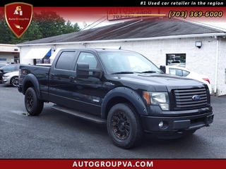 2011 Ford F-150