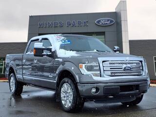 2013 Ford F-150 for sale in New Hudson MI