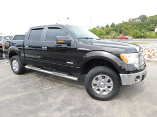 2013 Ford F-150 for sale in Clarksville TN