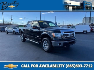 2014 Ford F-150 for sale in Knoxville TN