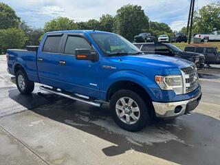 2014 Ford F-150 for sale in Easley SC