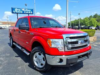 2014 Ford F-150 for sale in Clarksville TN