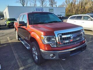 2014 Ford F-150 for sale in Freeport IL