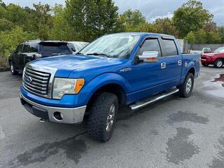 2010 Ford F-150 for sale in Kingsport TN