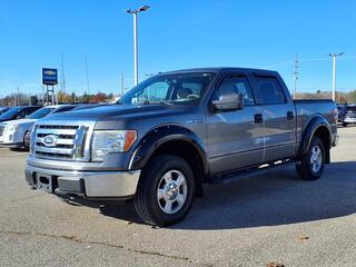 2010 Ford F-150 for sale in Ann Arbor MI