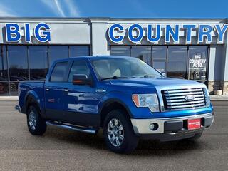2010 Ford F-150 for sale in Madison NE