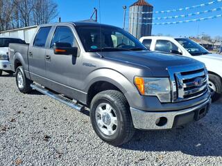 2010 Ford F-150 for sale in Guthrie KY