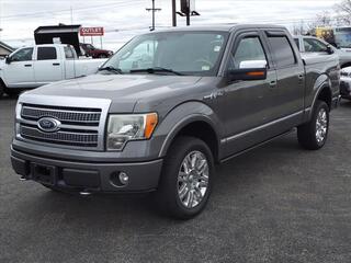 2010 Ford F-150 for sale in Joliet IL