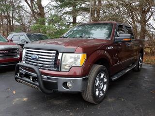 2010 Ford F-150 for sale in Manchester TN