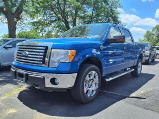 2010 Ford F-150 for sale in Ypsilanti MI