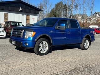 2010 Ford F-150 for sale in Asheville NC