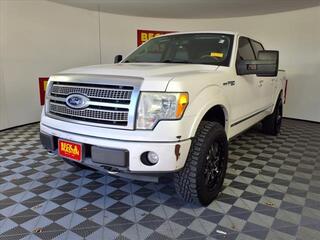 2010 Ford F-150 for sale in Houston TX