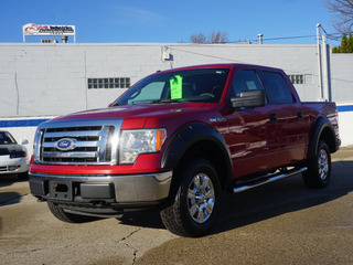 2010 Ford F-150 for sale in Roseville MI