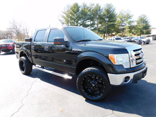 2010 Ford F-150 for sale in Clarksville TN