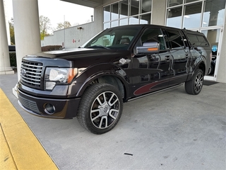 2010 Ford F-150 for sale in Knoxville TN