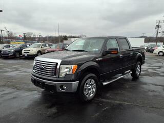 2010 Ford F-150 for sale in Salem OH