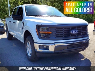 2024 Ford F-150 for sale in Mouundsville WV