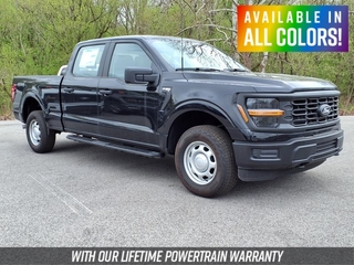 2025 Ford F-150 for sale in Mouundsville WV