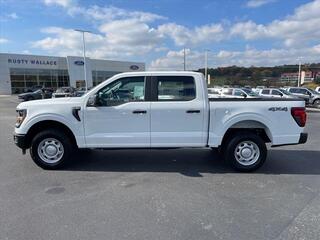 2024 Ford F-150 for sale in Dandridge TN