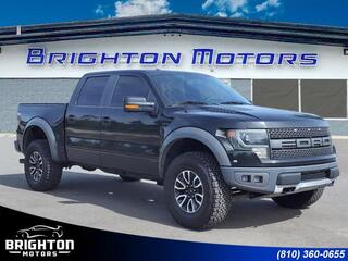 2014 Ford F-150 for sale in Brighton MI