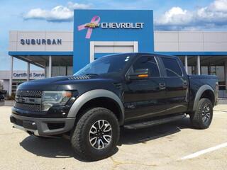 2014 Ford F-150 for sale in Ann Arbor MI