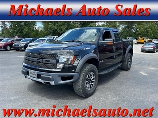 2012 Ford F-150 for sale in Carmichaels PA